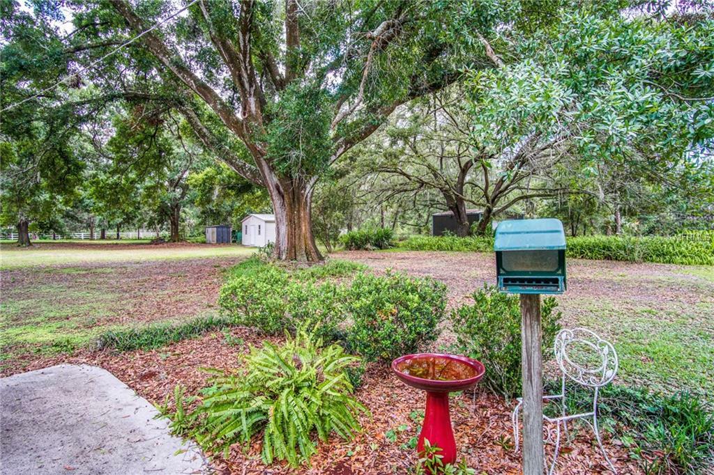 Property Photo:  603 Ronele Drive  FL 33511 