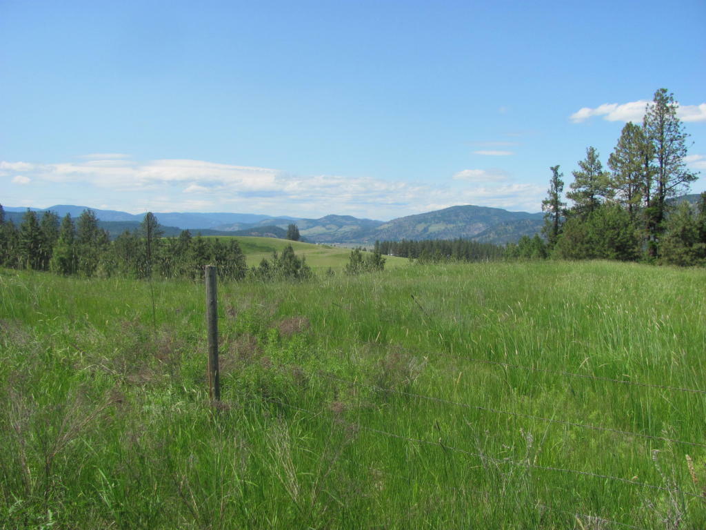 Property Photo:  Tbd Rocky Lake Rd.  WA 99114 