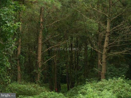 Property Photo:  Lot 2 Pemberton Drive  MD 21801 