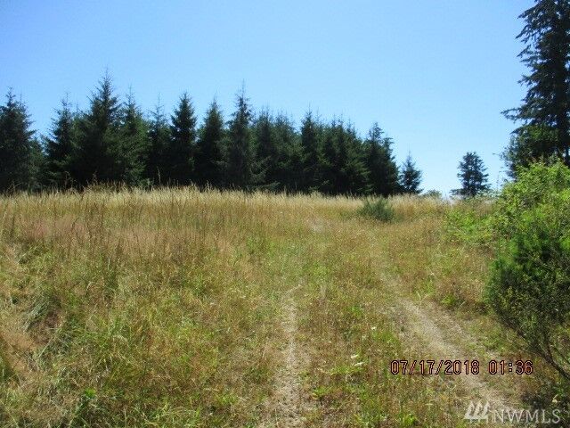Property Photo: 208 State Route 505 WA 98596
