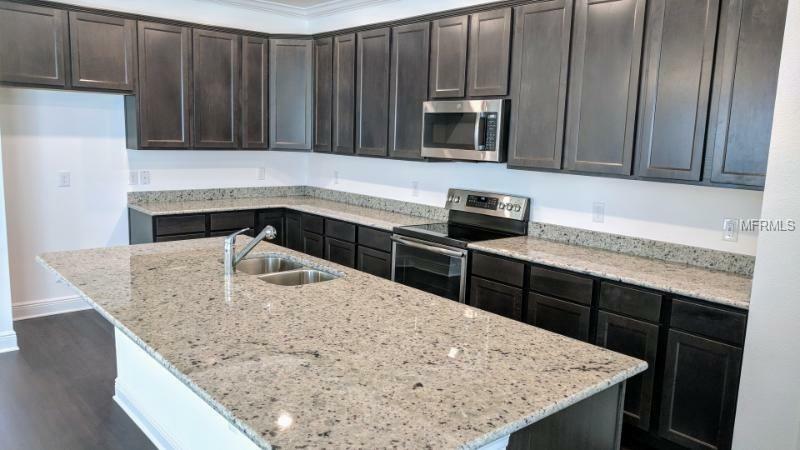 Property Photo:  14338 Fissore Boulevard  FL 33598 