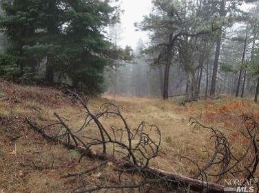 Property Photo: 0 Nf-19 N 16 Road CA 95469
