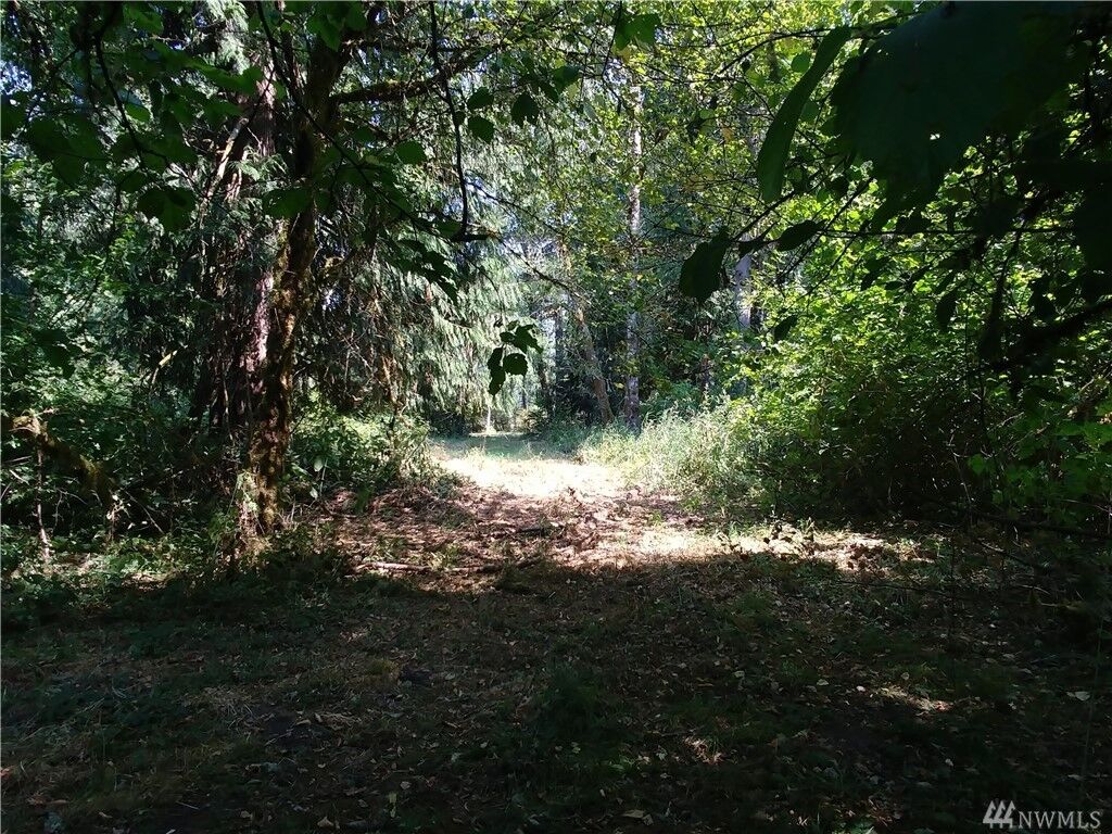 Property Photo: 0 Tiger Lily Place WA 98532