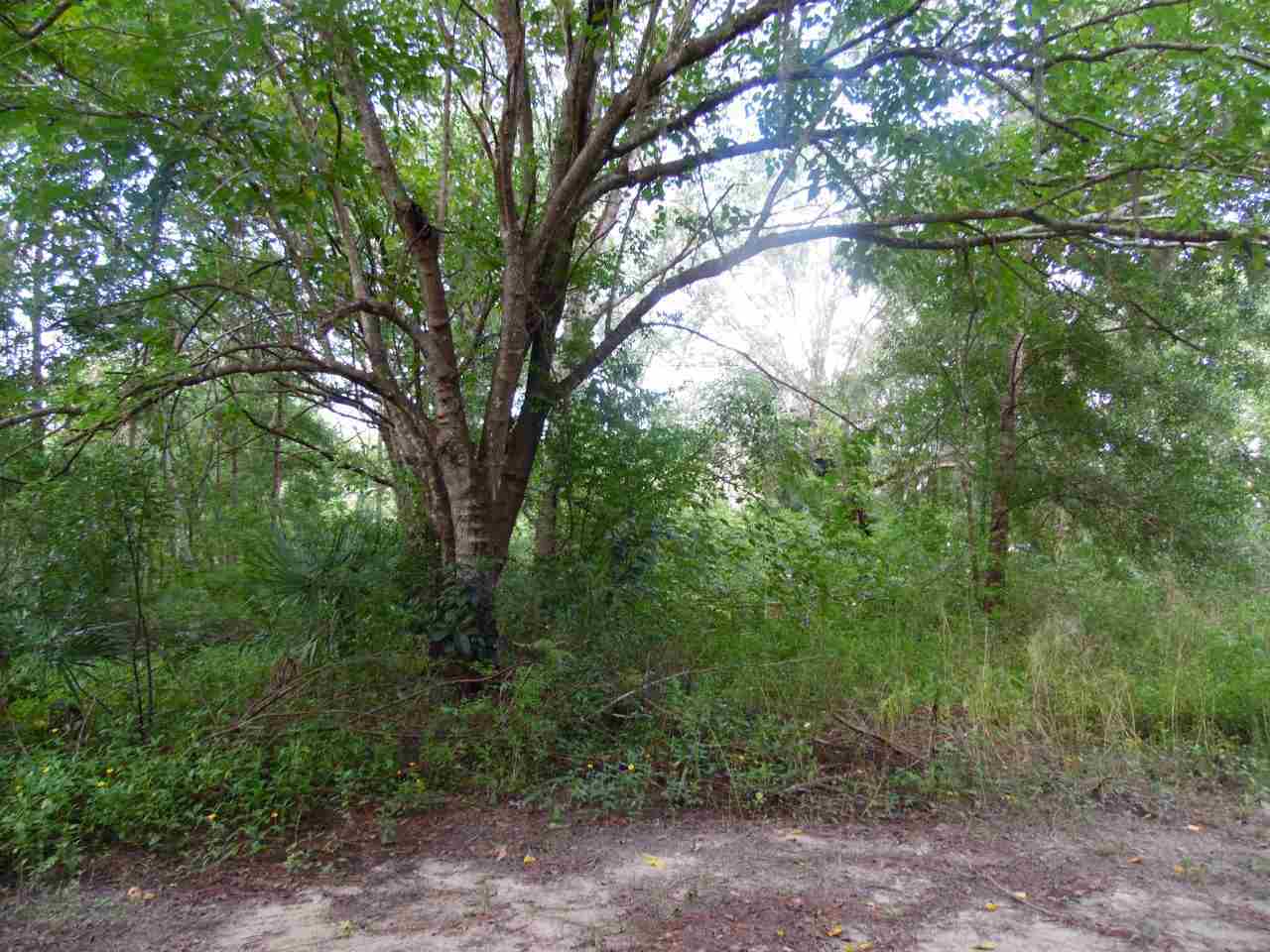 Property Photo:  5215 &Amp 5235 Kelly Rd  FL 32145 