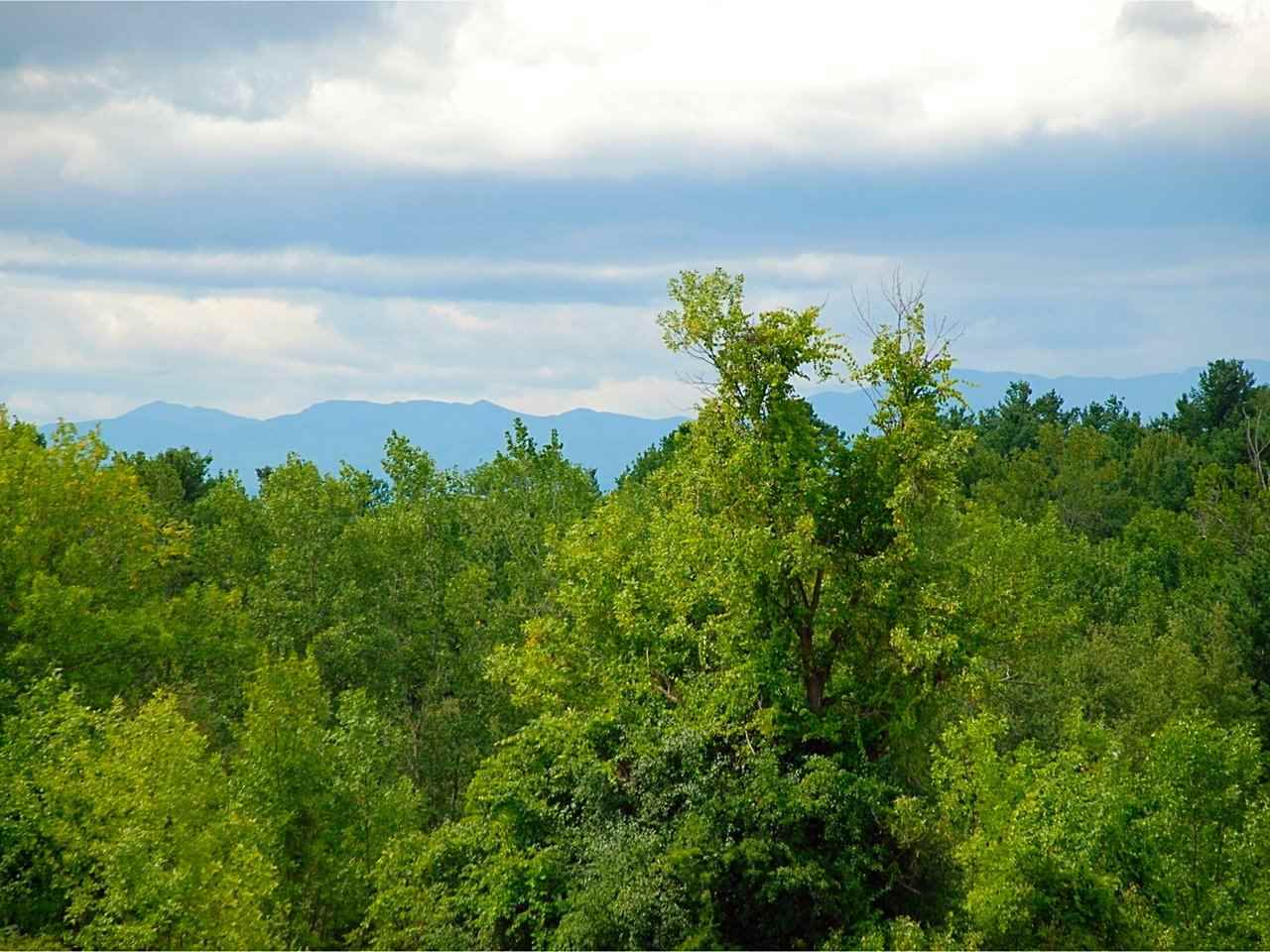 Property Photo:  2003 Spear Street  VT 05482 