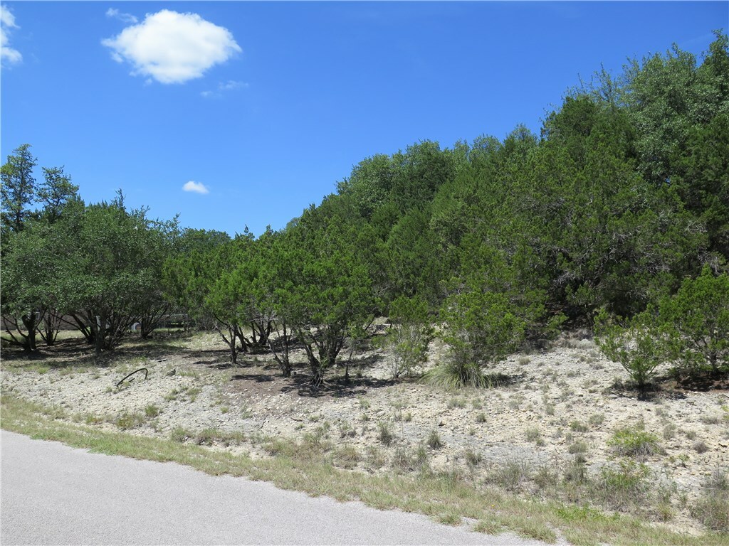 Property Photo:  21104 Panhandle Cove  TX 78645 