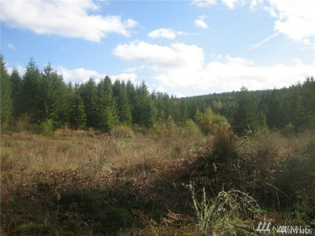 Property Photo:  518 364th St E  WA 98580 