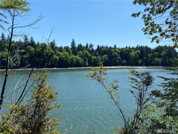 Property Photo: 211 Pirates Creek Rd WA 98584