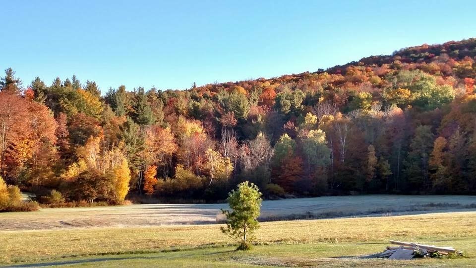 Property Photo: 151 Cherry Tree Lane VT 05464