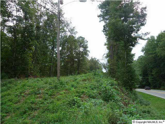 Highway 79  Guntersville AL 35976 photo