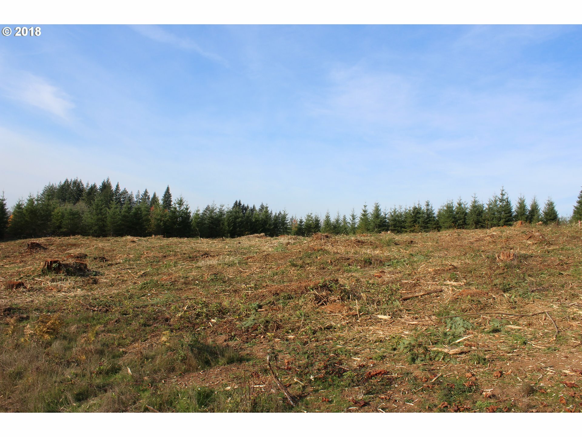 Property Photo:  0 NE 172nd St Lot13  WA 98606 