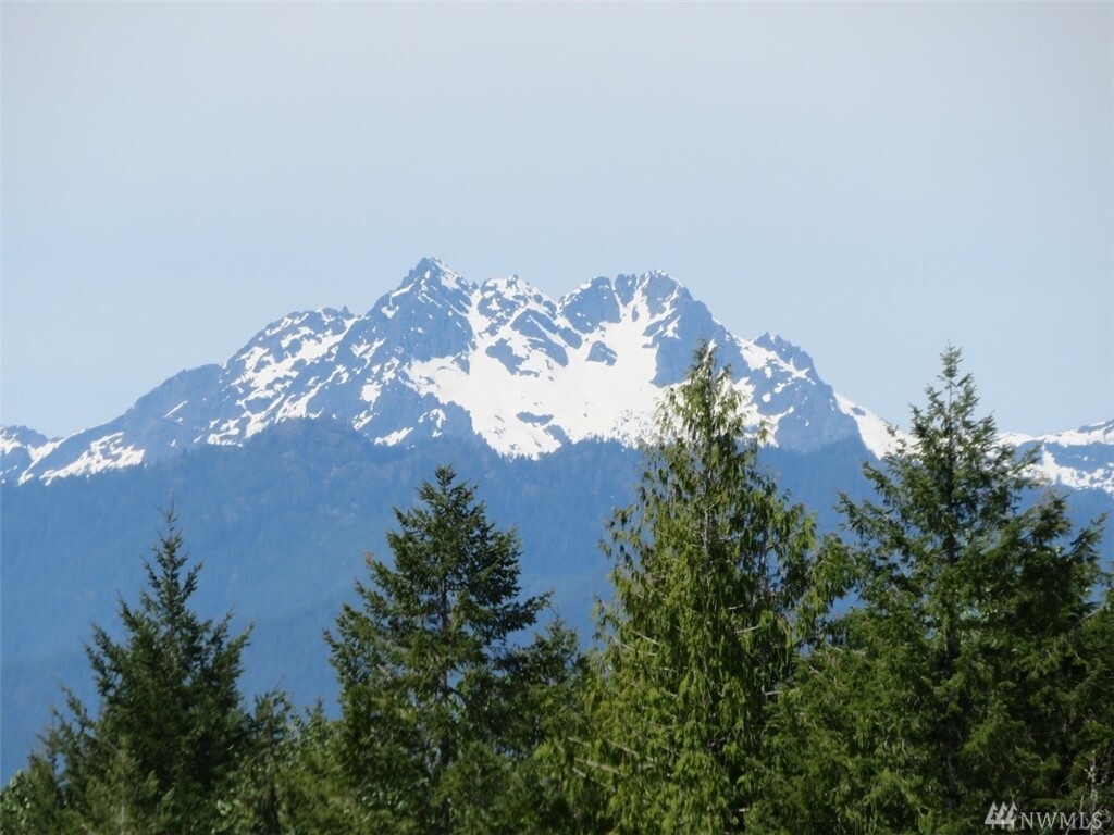 Property Photo: Lot 5 Wayne Rd WA 98380