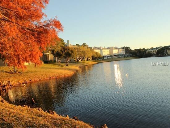 Property Photo: 2818 Countryside Boulevard 421 FL 33761