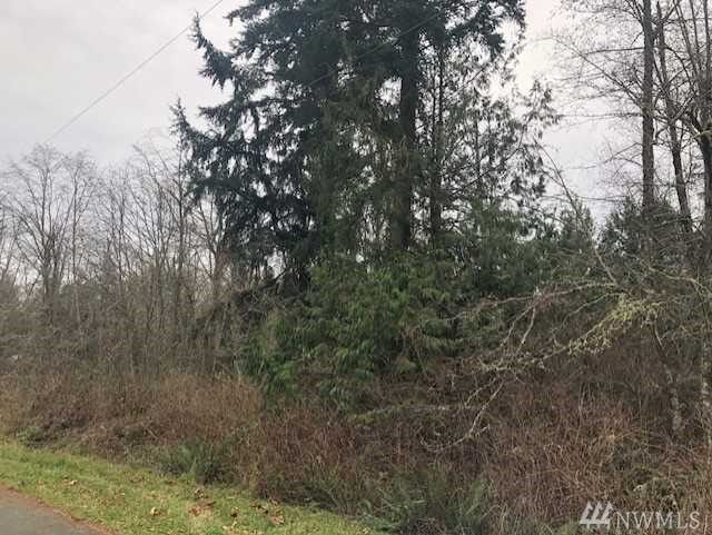 Property Photo:  7600 Block 165th Ave NW  WA 98292 