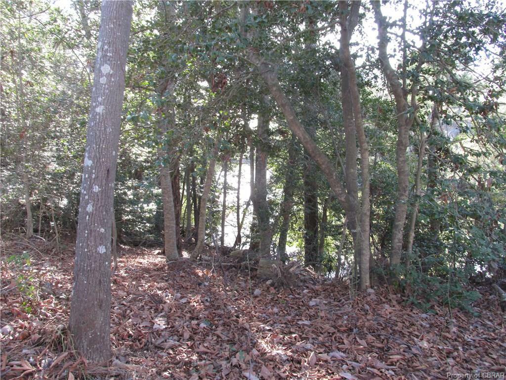 Property Photo:  247 Musick Lane  VA 23043 