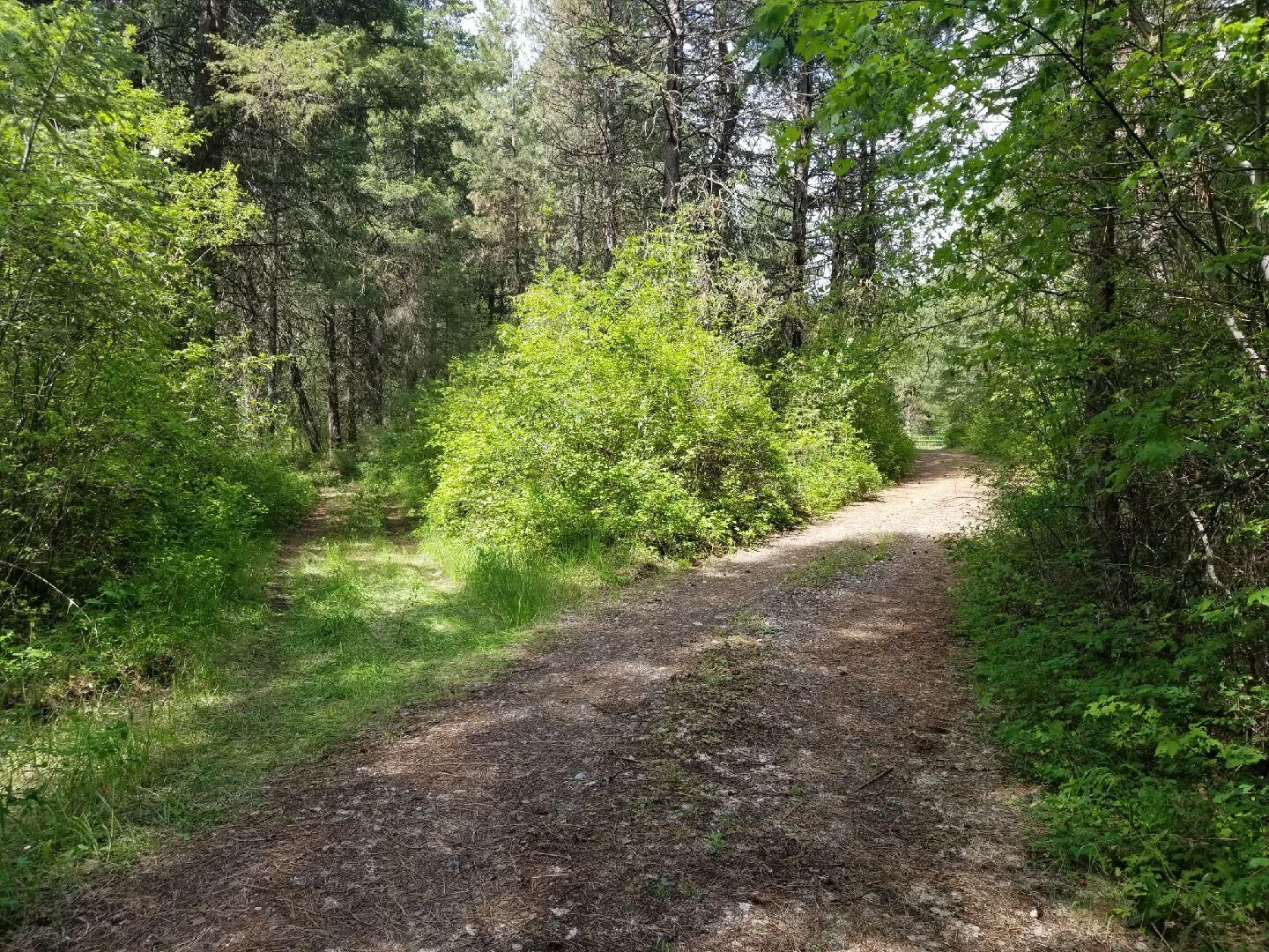 Property Photo:  15xx Orin Rice Rd  WA 99167 