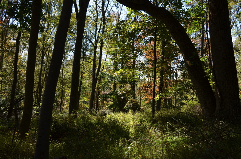 Property Photo:  68 South Rd  NJ 07930 