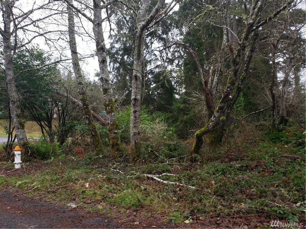 Property Photo:  0 E Woodhill Ave  WA 98595 