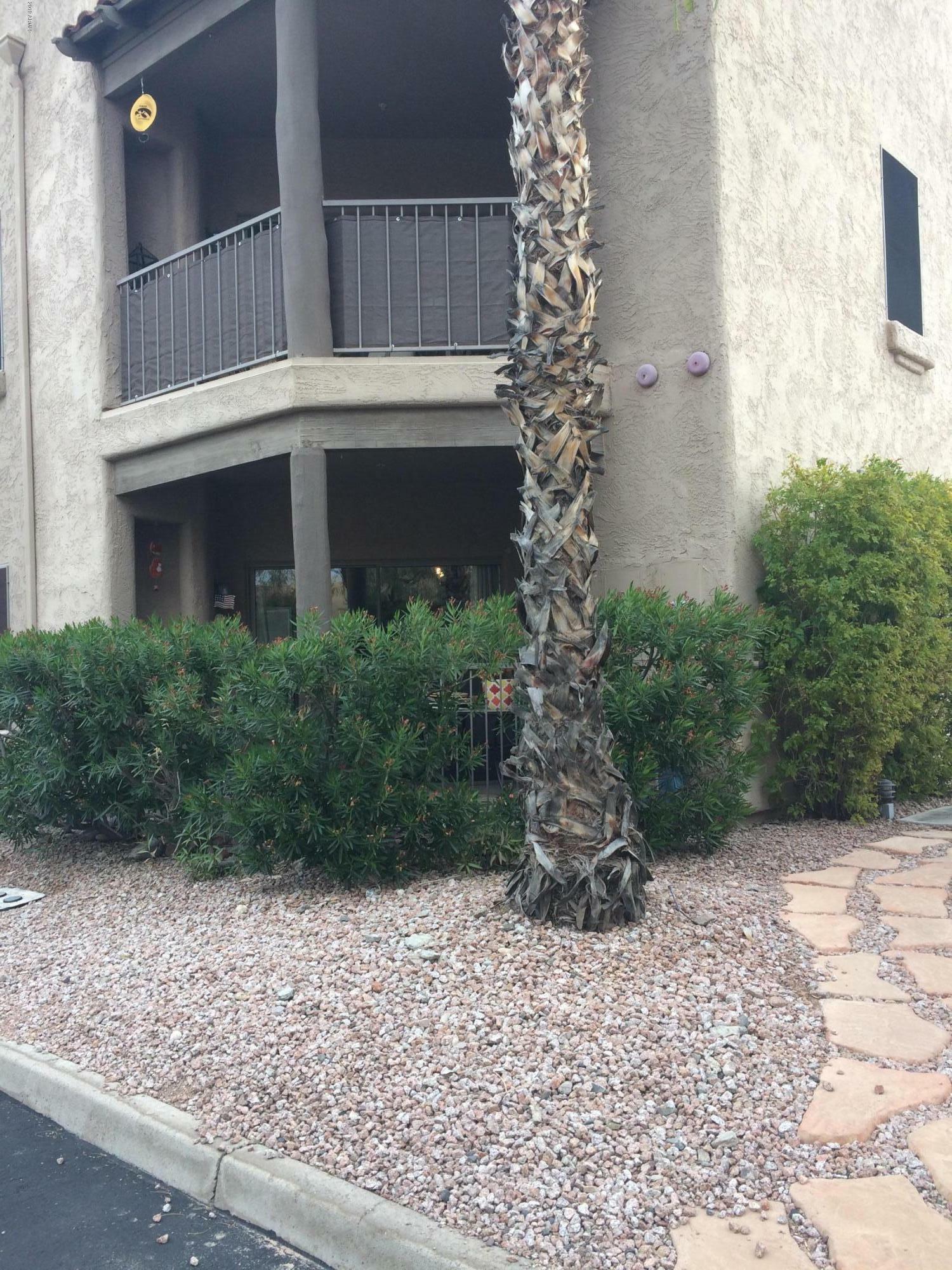 Property Photo: 16616 E Gunsight Drive 116 AZ 85268
