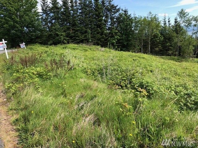 Property Photo:  0 Lot 46  Lightning Way  WA 98282 