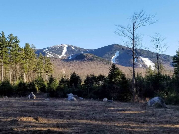 Property Photo: 28 Notchway Drive 1 NH 03580