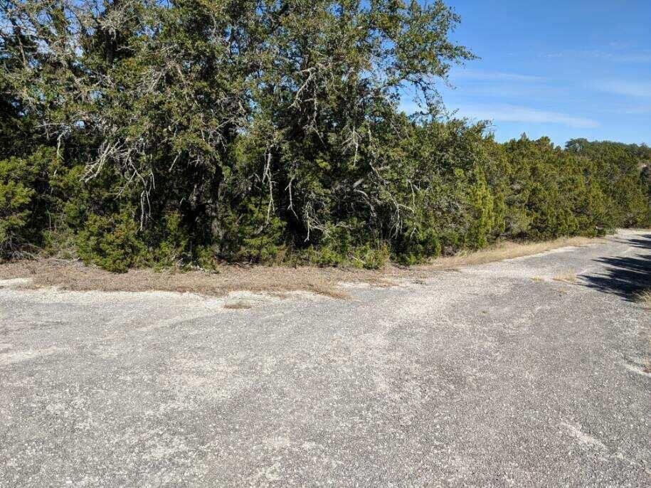 Property Photo:  20304 Lexington Cove  TX 78645 