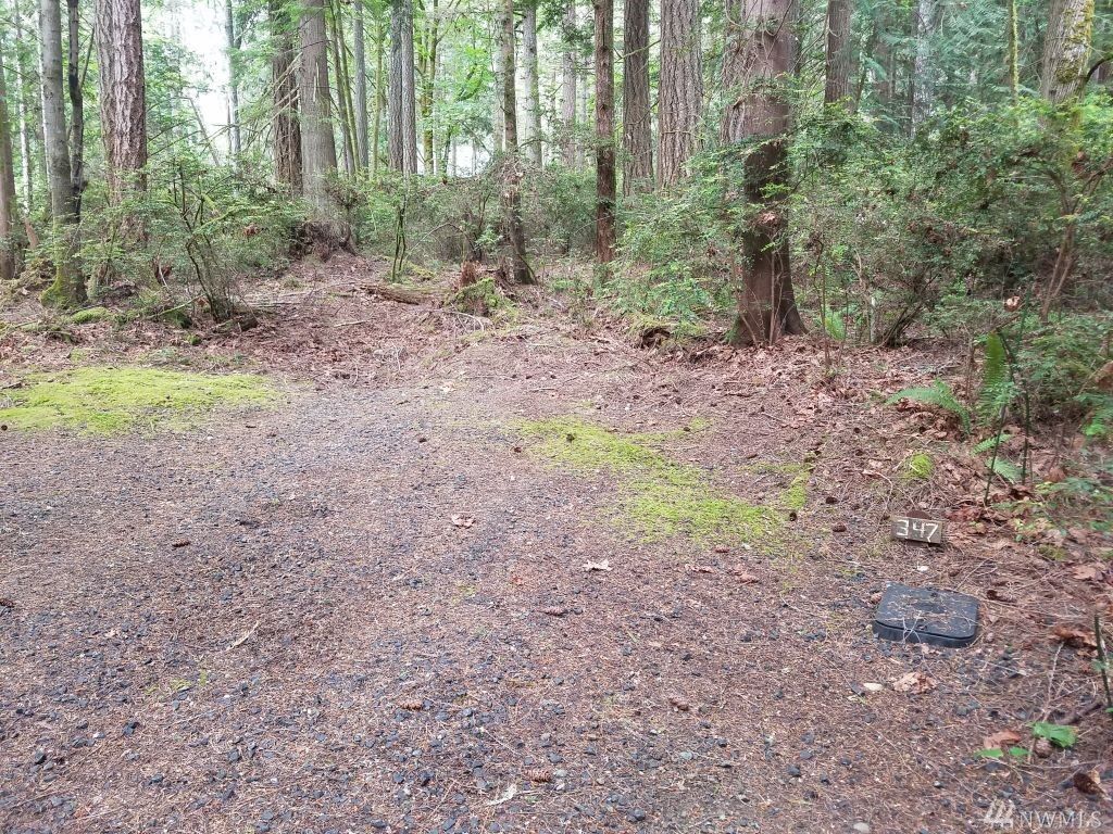 Property Photo:  347 E Pointes Dr E  WA 98584 