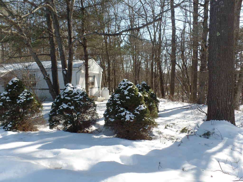 Property Photo:  7 Otter Road  NH 03077 