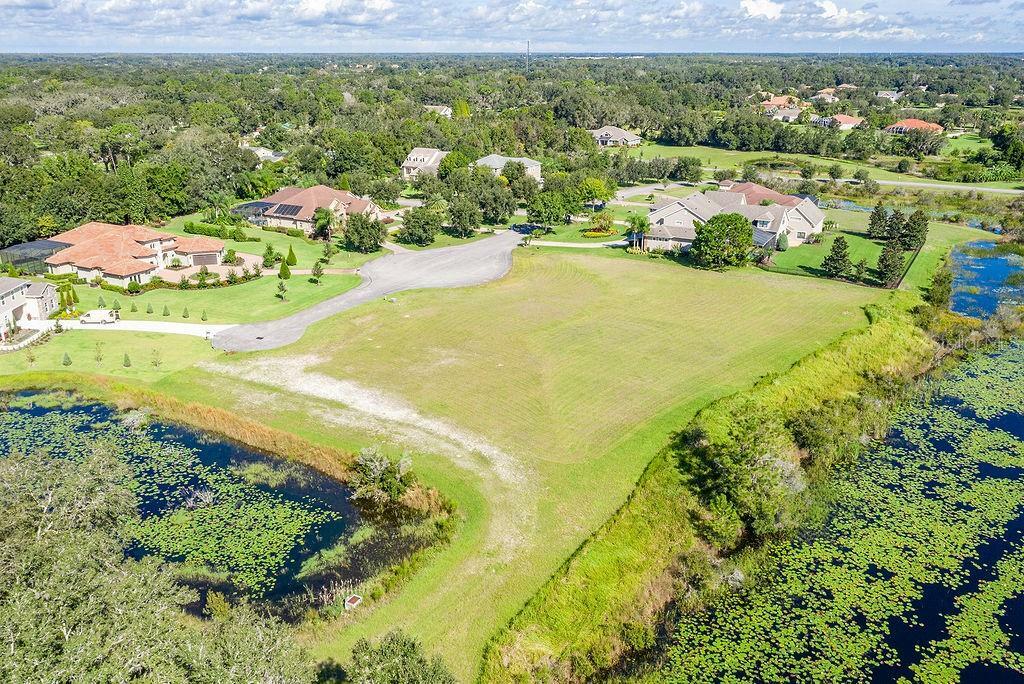 Property Photo: 2503 Tylers River Run FL 33559