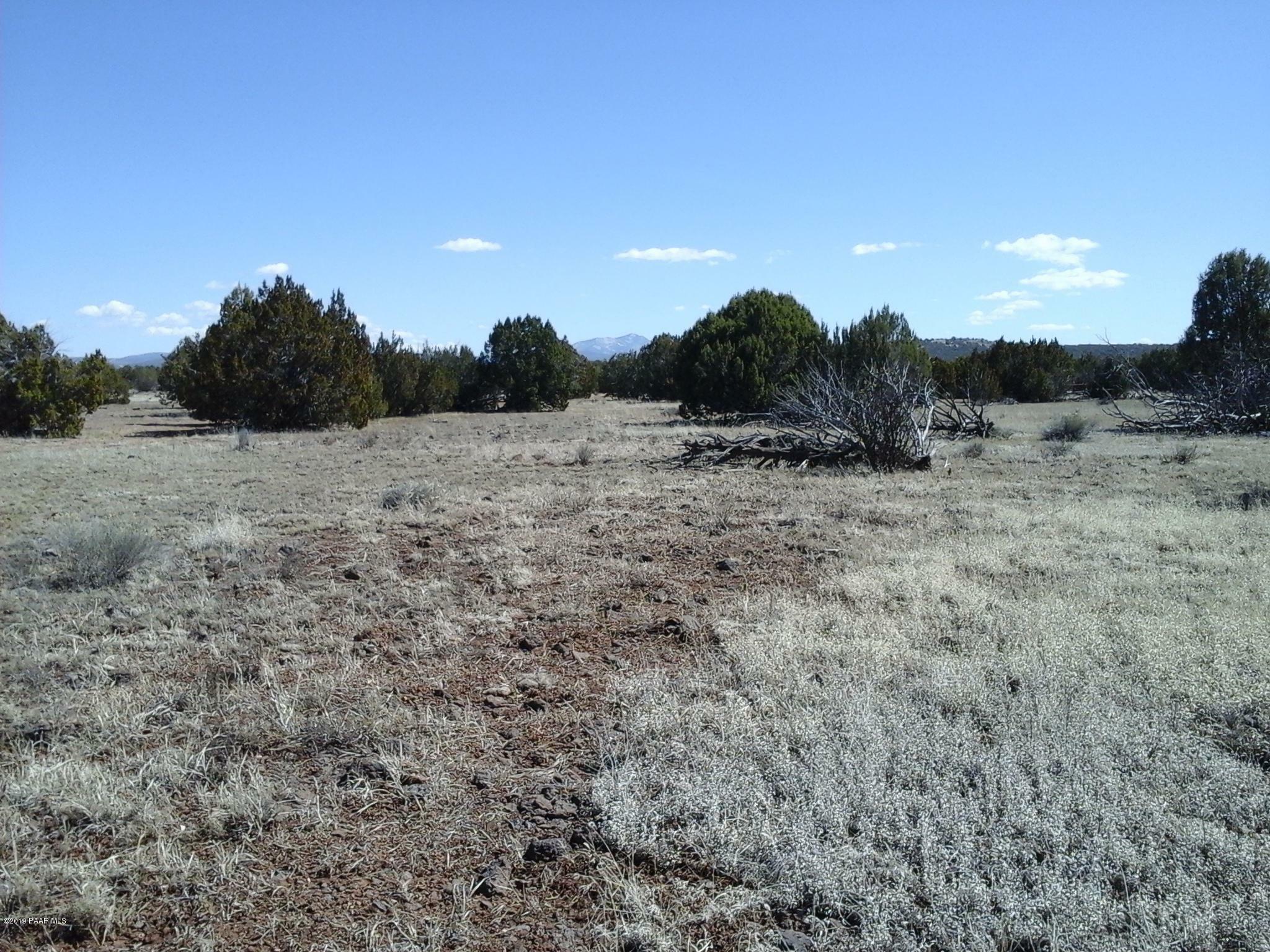 Property Photo:  Lot 251C Juniperwood Ranch  AZ 86320 