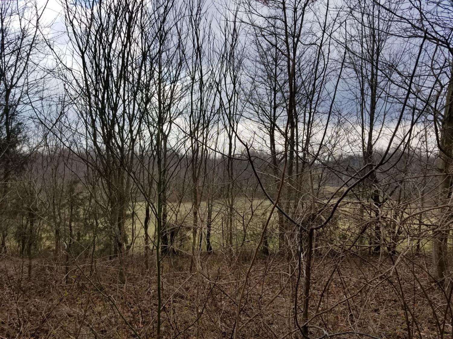 Property Photo:  17 Pleasant Point School Road  KY 40489 