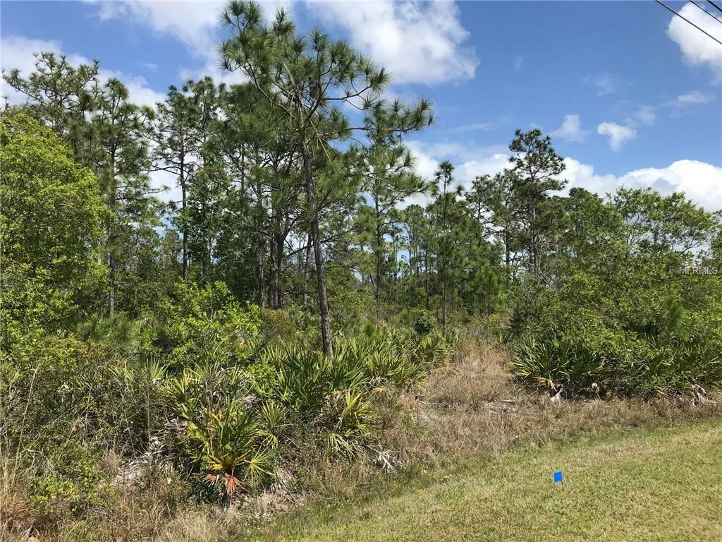 Property Photo:  Lot 29 Sodbury Street  FL 32833 