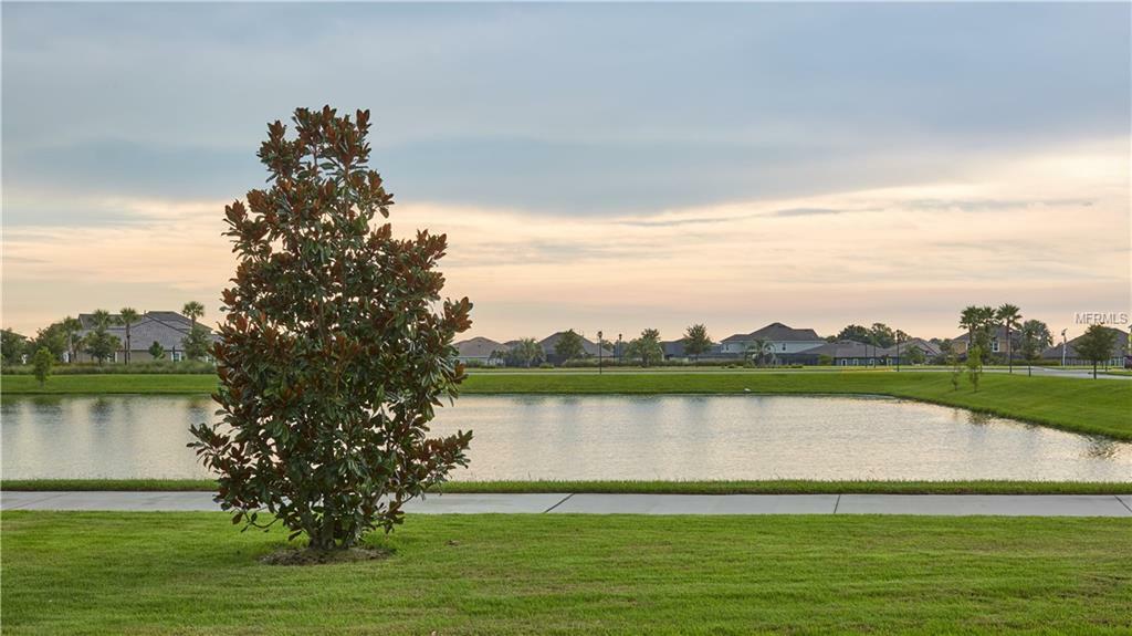Property Photo: 6351 Shore Vista Place FL 33572