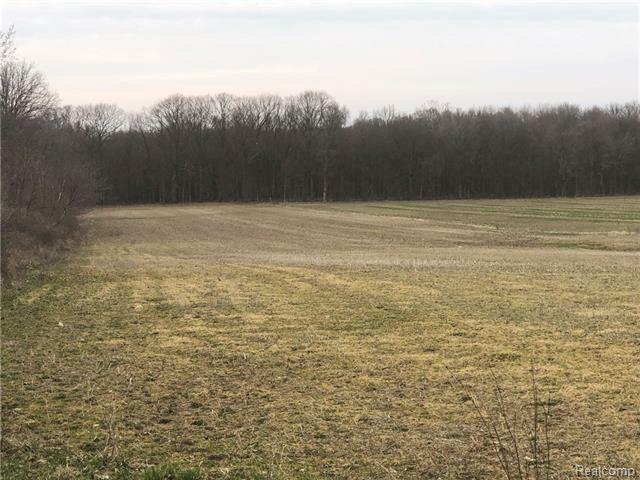 Property Photo: Lot A Goodall Road MI 48429