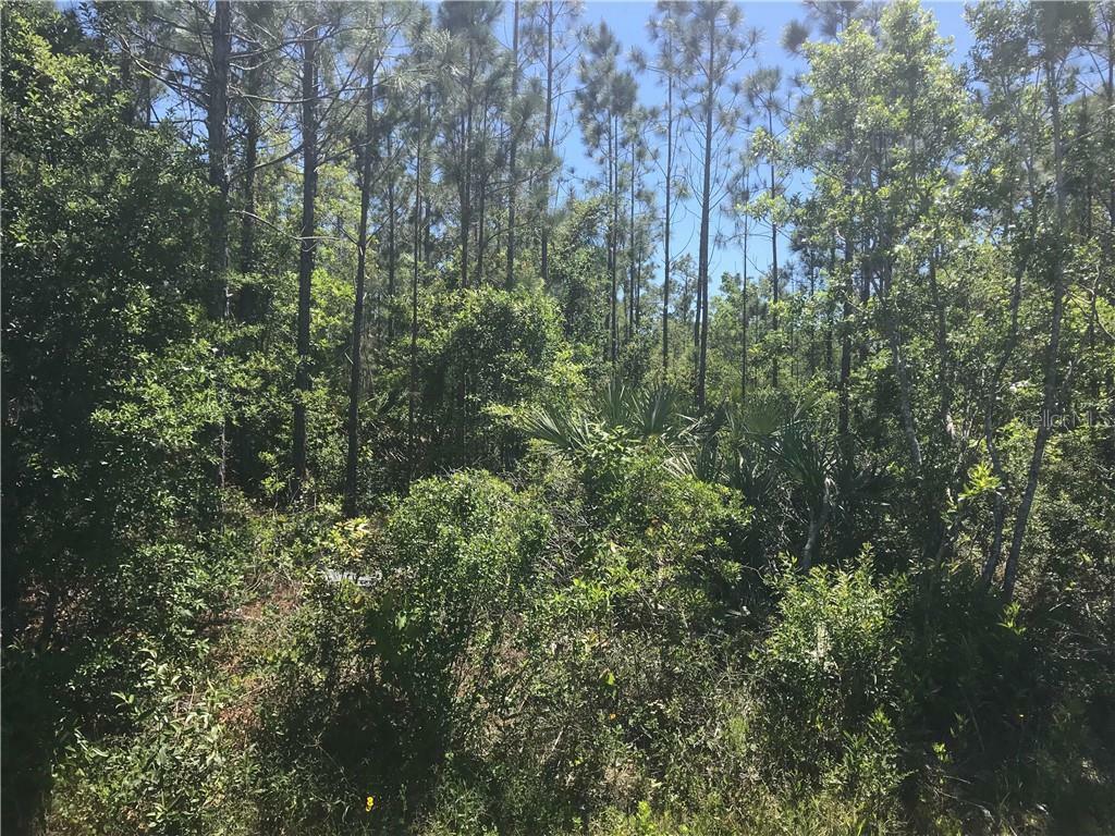 Property Photo:  Sabal Street 11A  FL 32833 