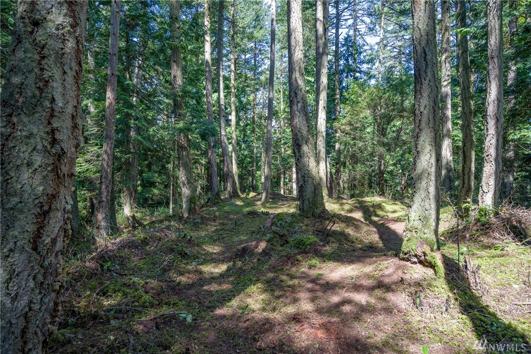 0 Peninsula Rd  Lopez Island WA 98261 photo