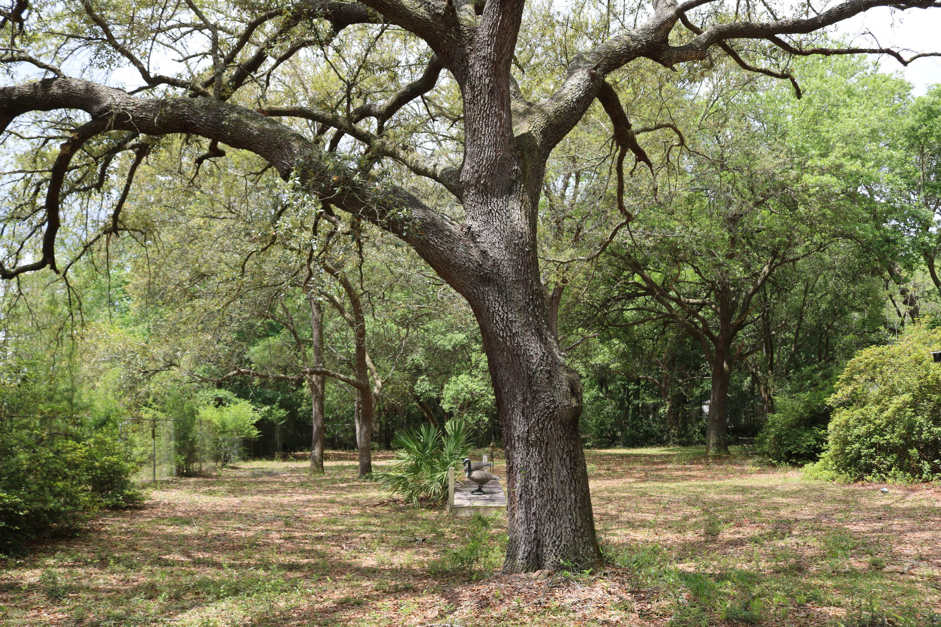 Property Photo:  5123 Nichols Creek Road  FL 32583 