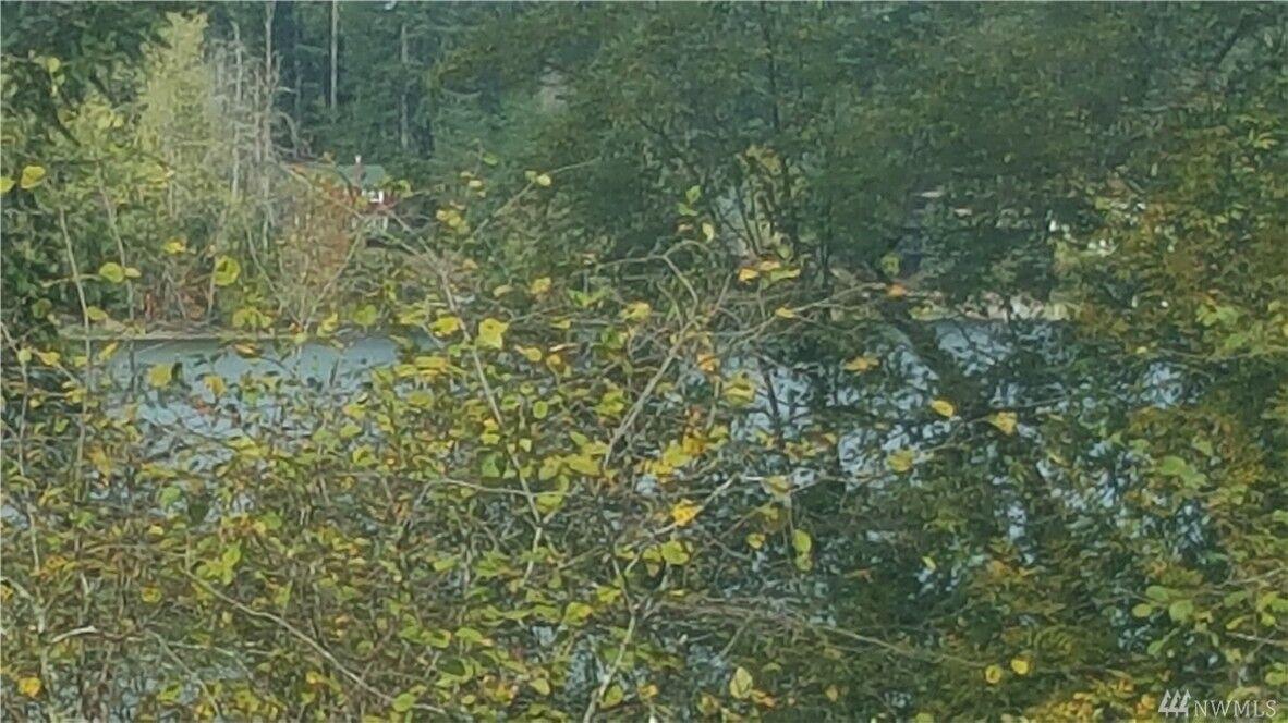 Property Photo:  11913 Sanford St SE  WA 98589 