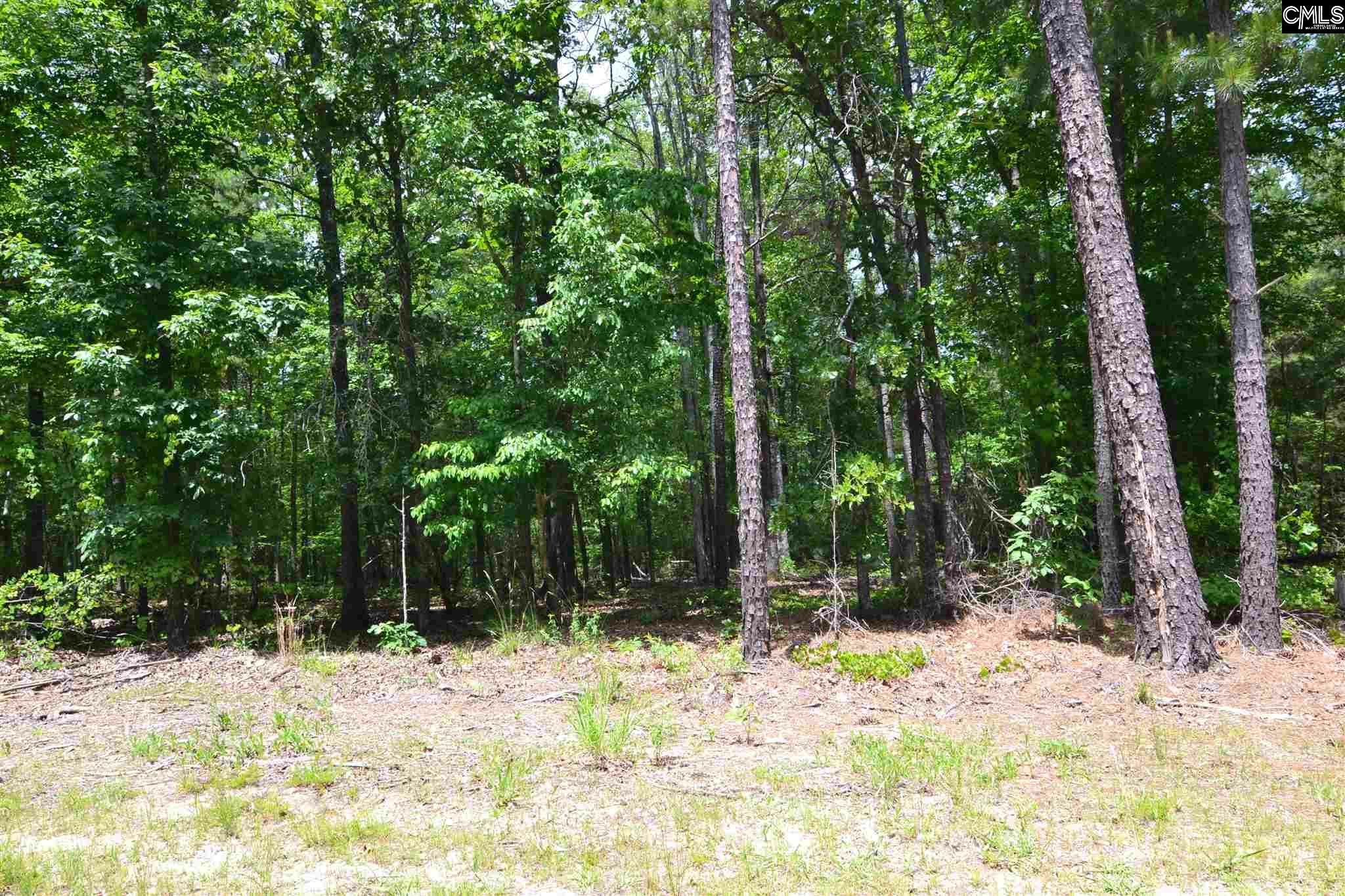 Property Photo:  Tbd Cross Creek  SC 29130 