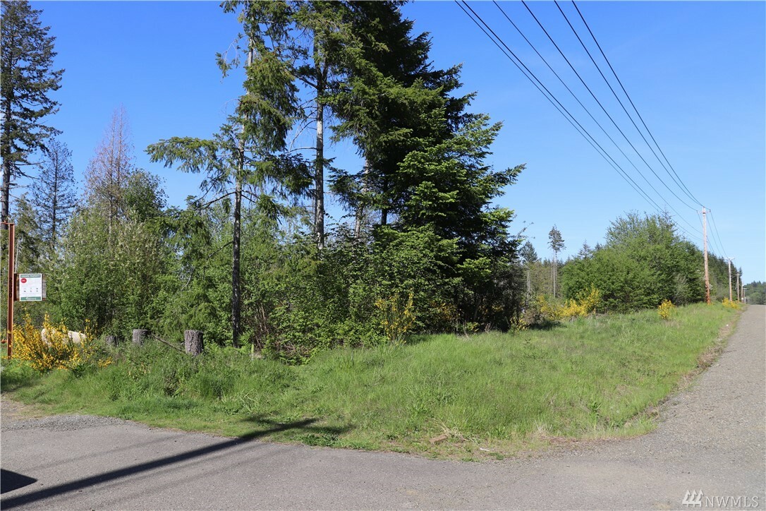 Property Photo:  1 Lot 1 SE Lynch Rd  WA 98584 