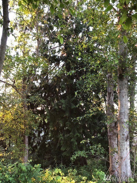 Property Photo: Lot 12 Haines Rd WA 98249