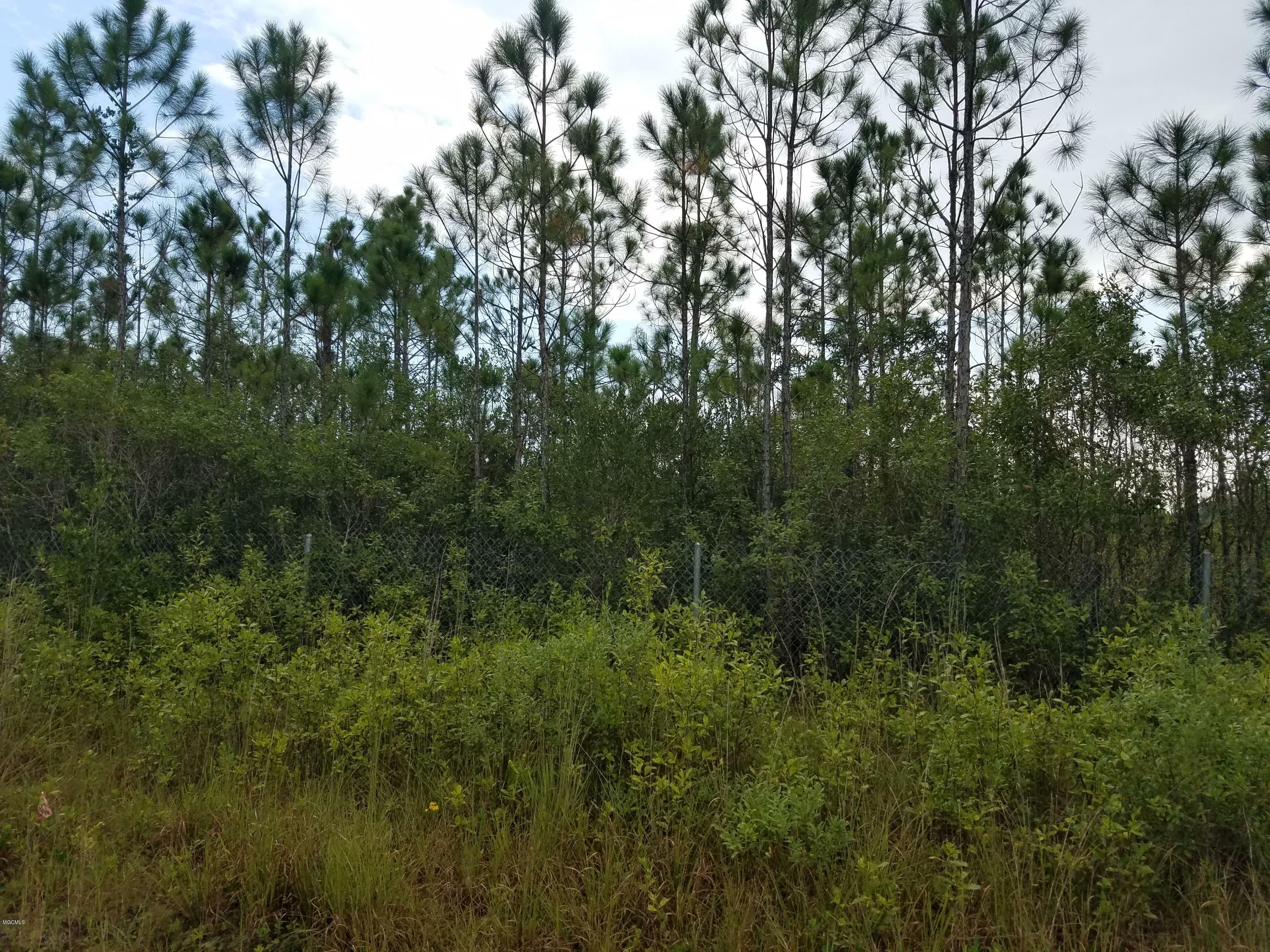 Property Photo:  0 Old Fort Bayou Road  MS 39564 