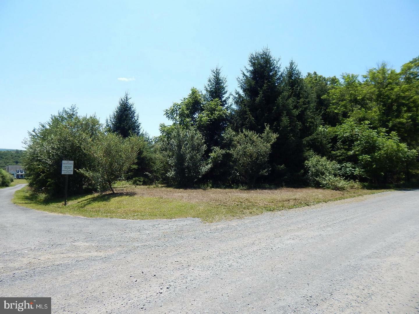 Property Photo:  Fletcher Rd, Lot 3  VA 22637 