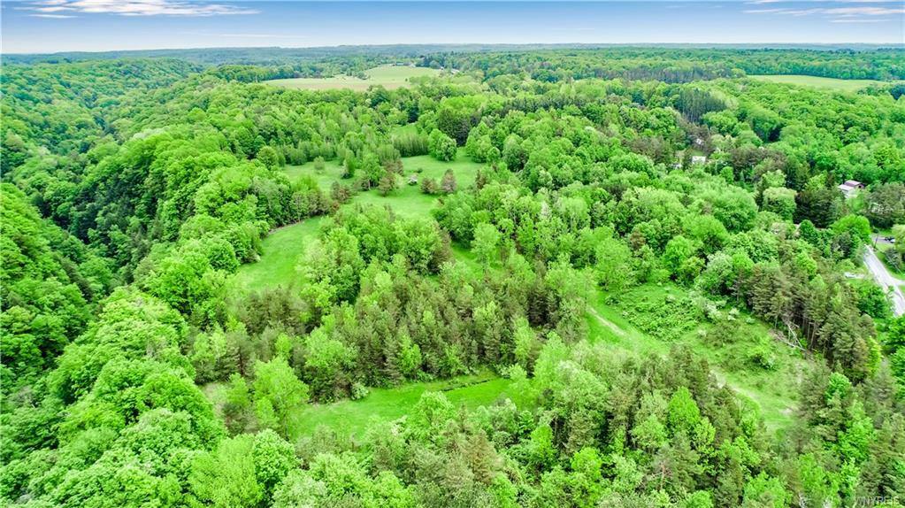 Property Photo: 8400 Knapp Road NY 14033