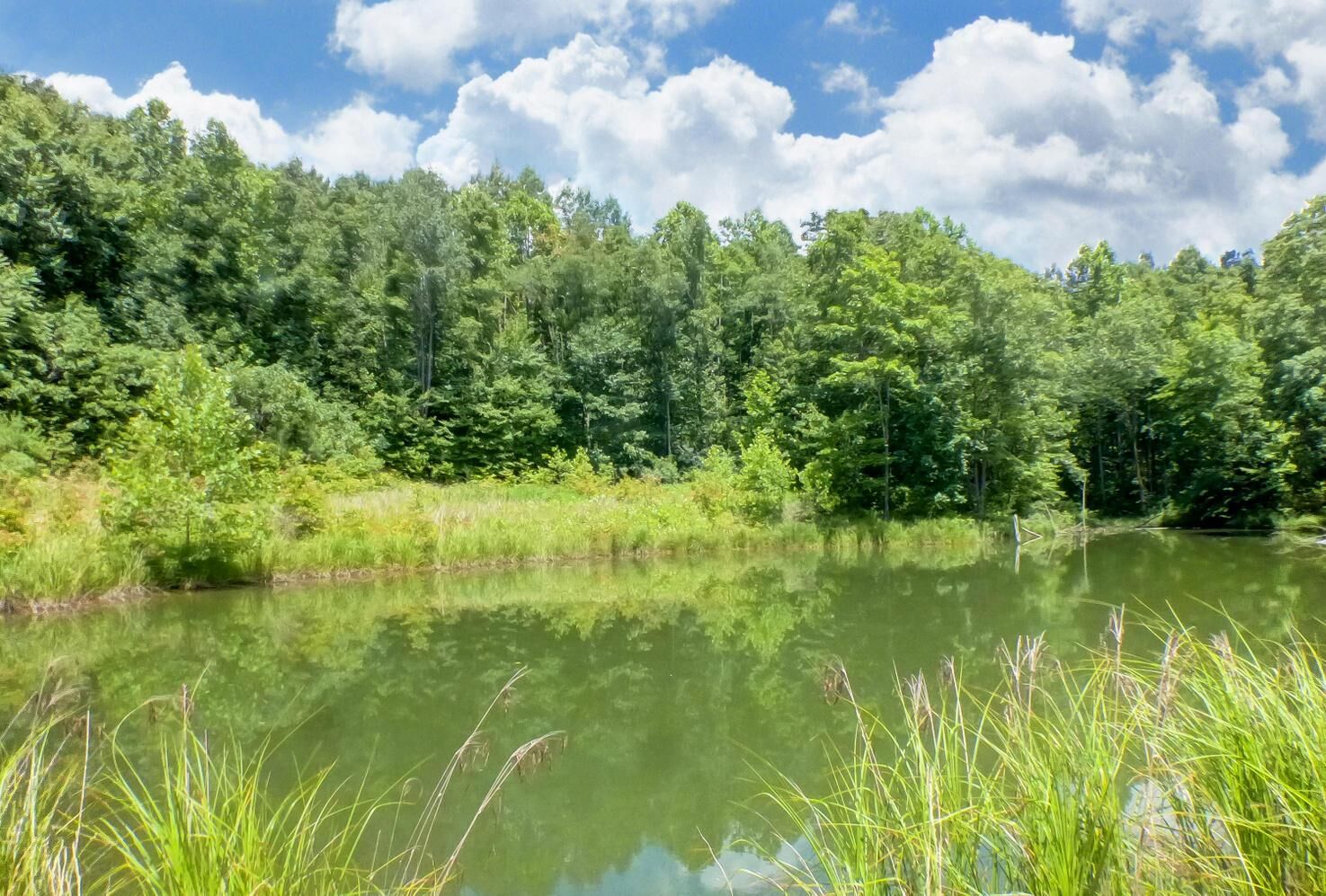 Property Photo: 0 Purdum Road OH 43138