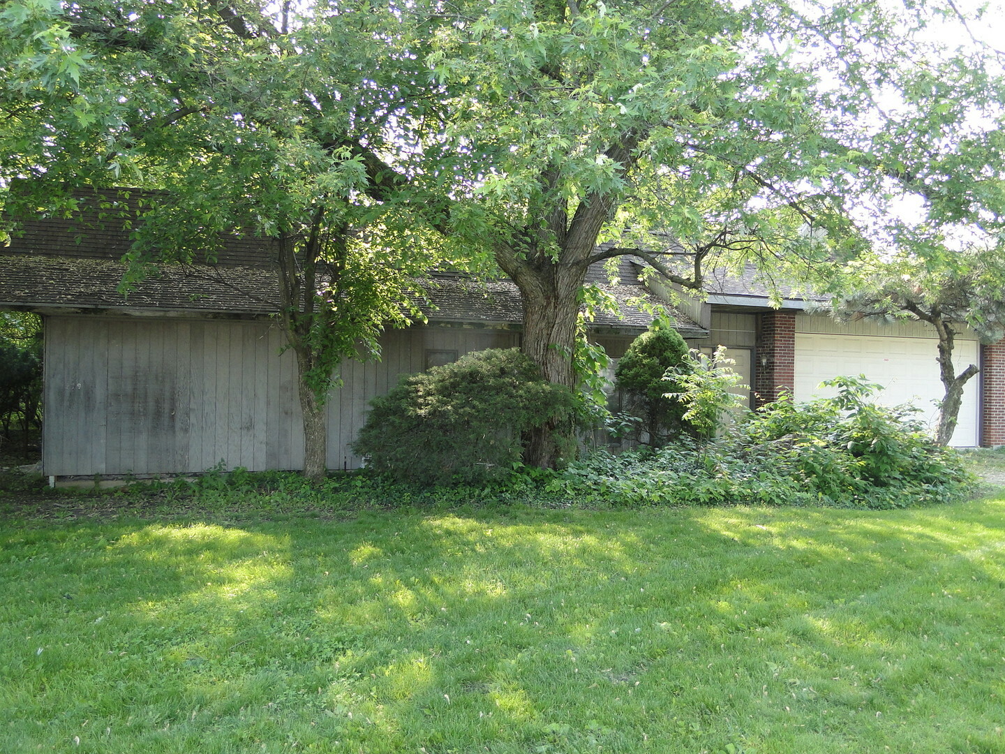 Property Photo: 909 Westshire Drive IL 60435