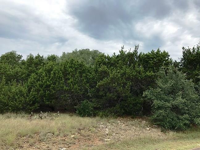 Property Photo:  8200 Moon Rise Trail  TX 78645 