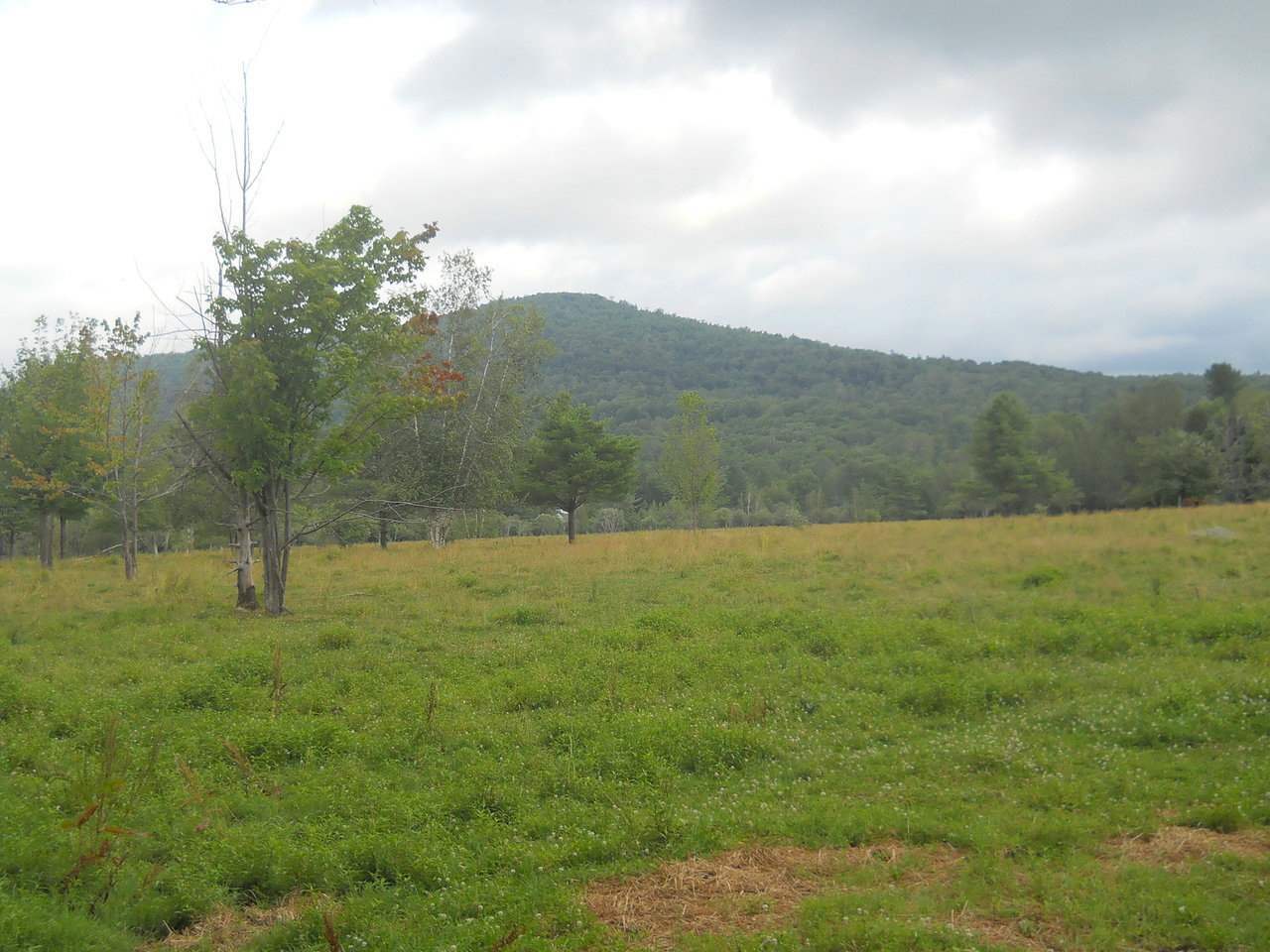 Property Photo: 234 Creamery Bridge Road 3 VT 05470