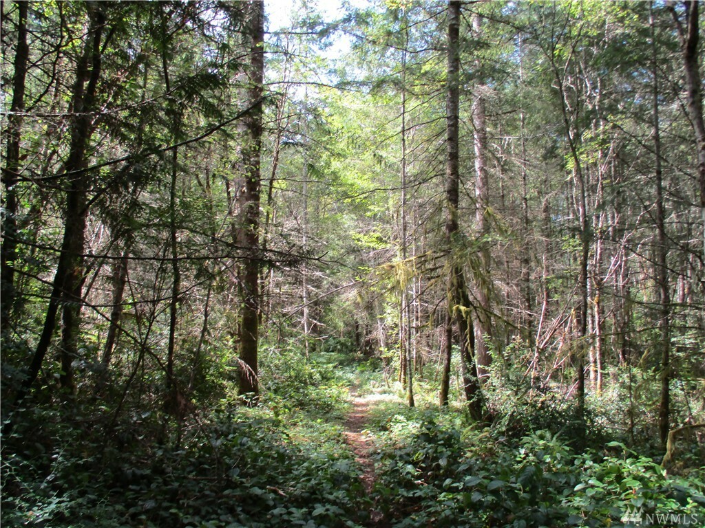 Property Photo: Xxx 136th St NW WA 98332
