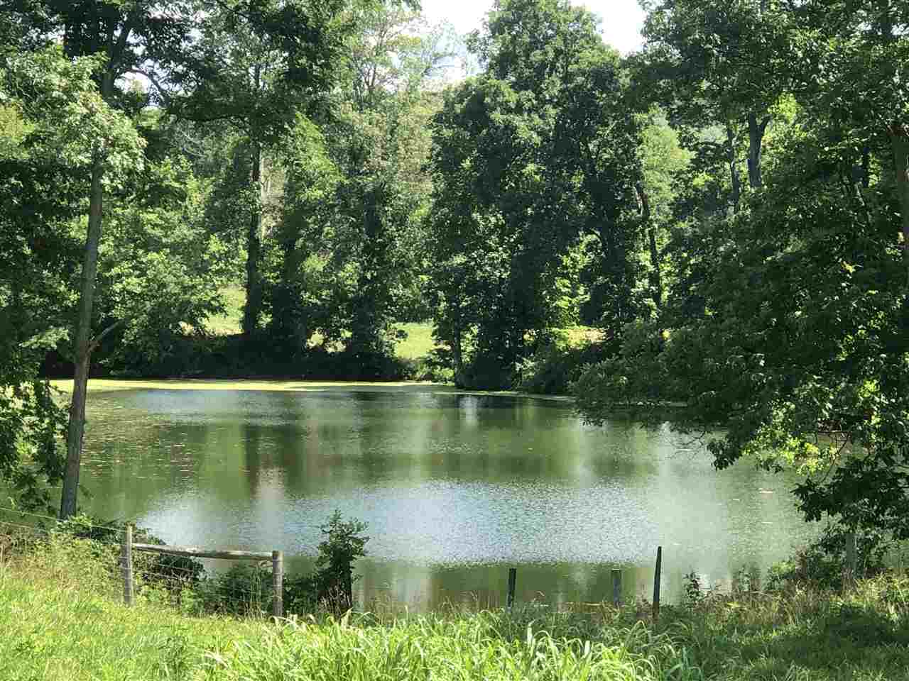 Property Photo:  Lead Mine Road  KY 40359 